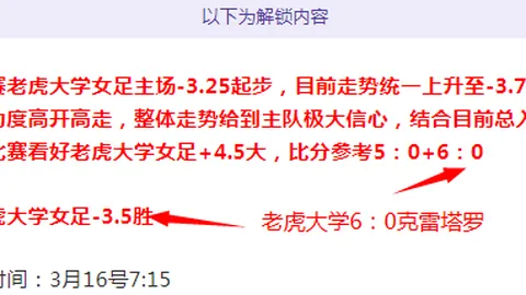 深度对话：30岁羽生结弦专访纪要，2025年1月26日