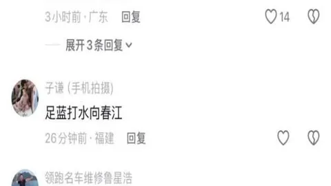 2026新西兰对决：巨人怀伊赛果